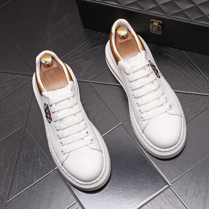 STYLIST FRANTZ™ Platform Air Cushion Sneakers – Casual Fashion Men’s Shoes